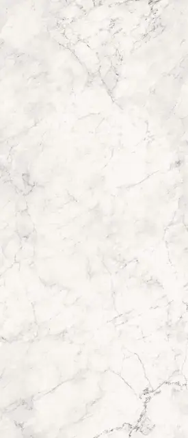 AE CAL6 278 LP 120x278