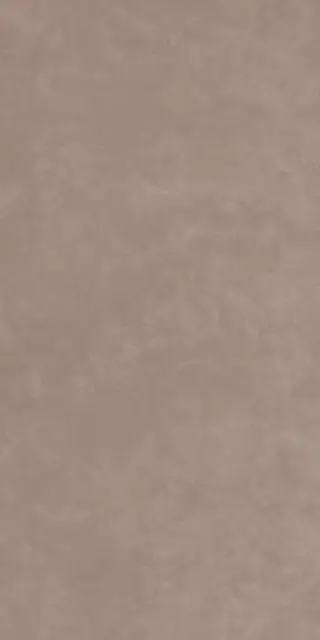 Naedine 2153 Капучино Структурированный  60x120