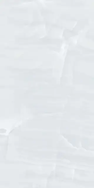 Moroz I Solnce 2090 LR Белый 60х120