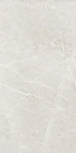 Skala 2201 Белый Лаппатированный 60х120