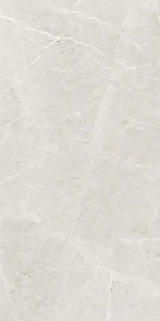 Skala 2201 Белый Матовый 60х120