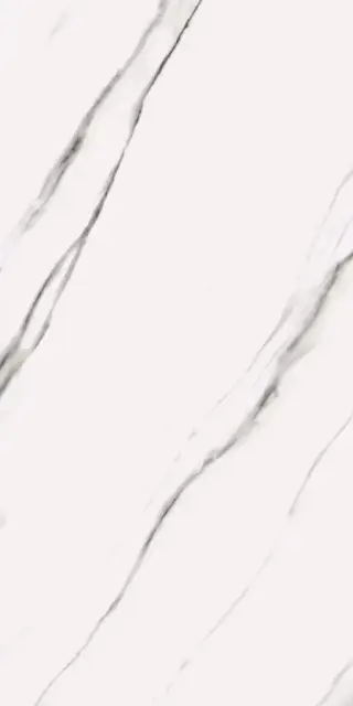 Butik 2020 Белый Матовый 60х120