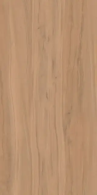 Alleya 2102 Коричневый Структурированный 60x120