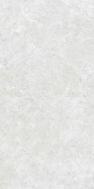 Monochrom 2060 Белый 60х120