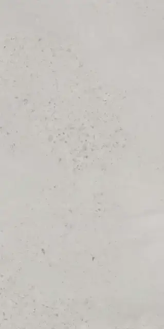 Граните Концепта Селикато Серый MR мат.60х120