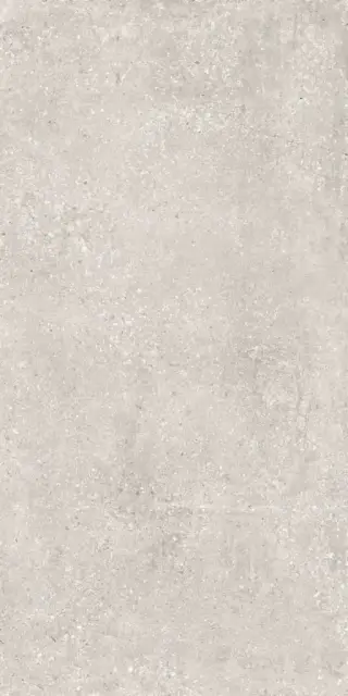 Гранит Перла светло-серый MR матовый |60x120