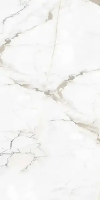 Гранит Паллисандро Оро SR структ |60x120