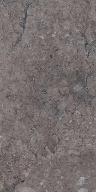 Rock William Grey Carving 80x160