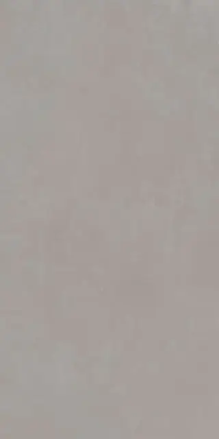 Rinascente Grey 60x120/Ринашенте Грей 60X120