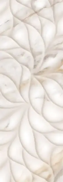 CALACATTA ORO STRUTTURA |24.2x70