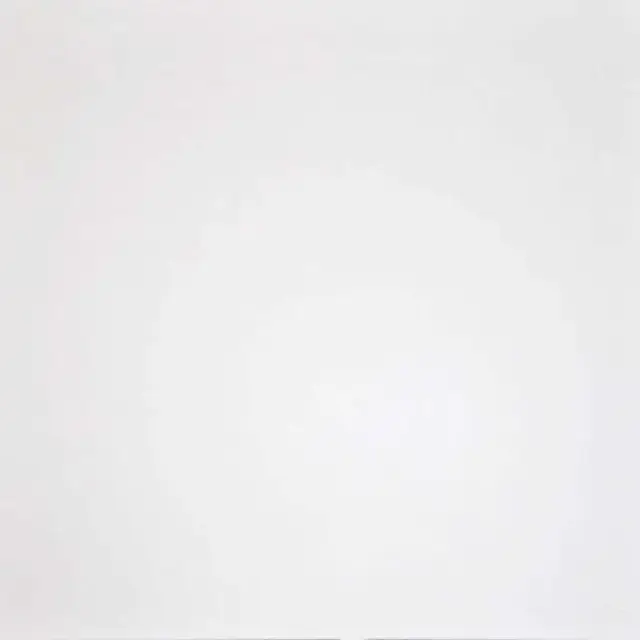 Керамогранит G-100/MR Domino белый матовыйl60x60