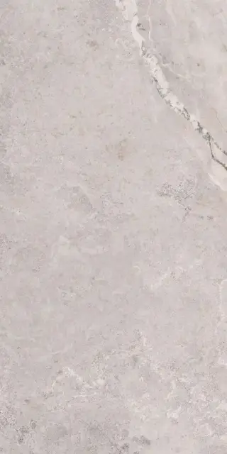 Erding Silver Decorstone 60x120