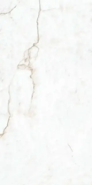 Crystal White Compacglass 60x120 Rec.