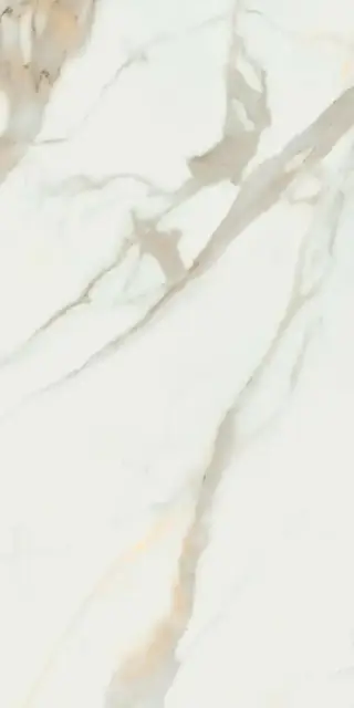 Calacata Gold  leviglass 60x120 Rec.