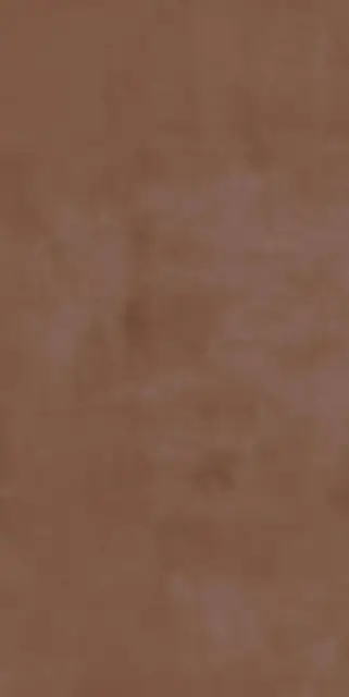 Eleganza Terra Decorstone 60x120 Rec..