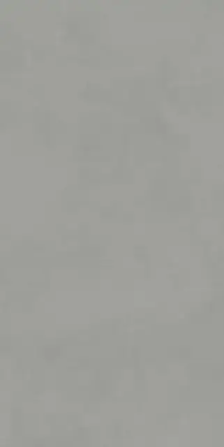 Про Чементо серый матовый обрезной 60x119.5