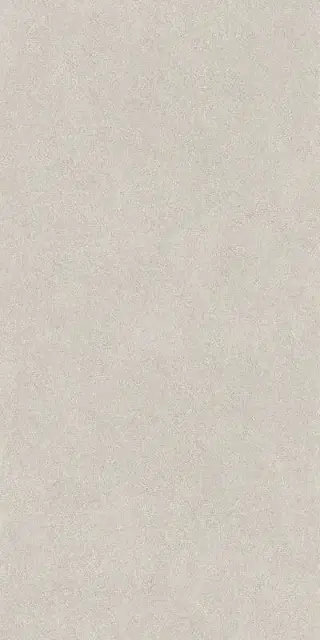 Джиминьяно серый светлый матовый обрезной 60х119,5