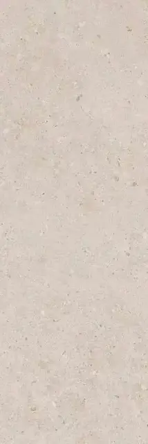 Риккарди серый светлый матовый обрезной 40x120