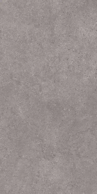 Фондамента серый обрезной 60х119.5