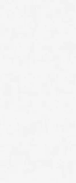 Monocolor sugar white wall 01 25х60