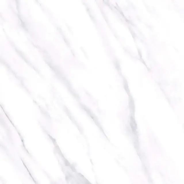 Керамогранит R  ALPI |60x60