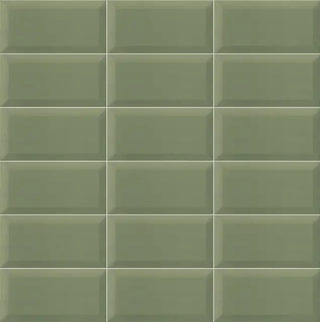 Bissel G-Olive 10x20