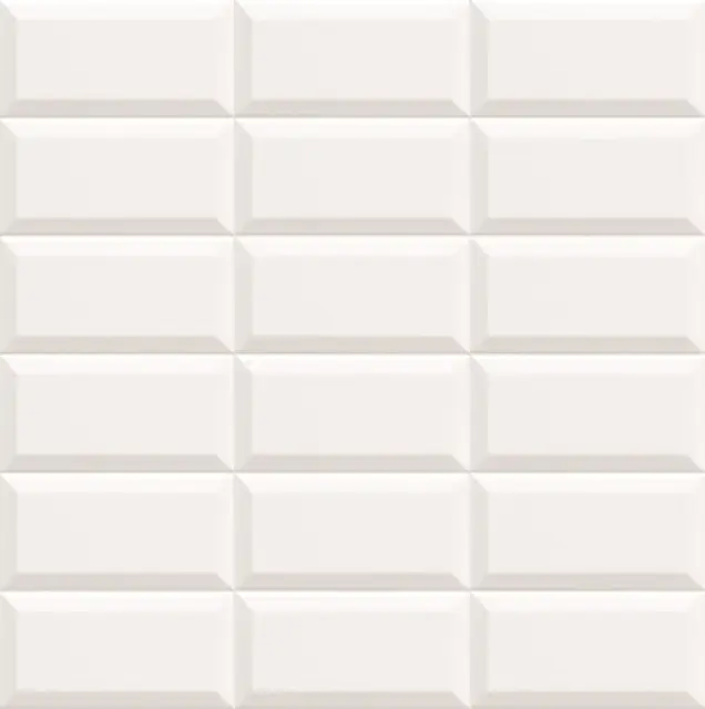 Bissel Mate Bco 10x20