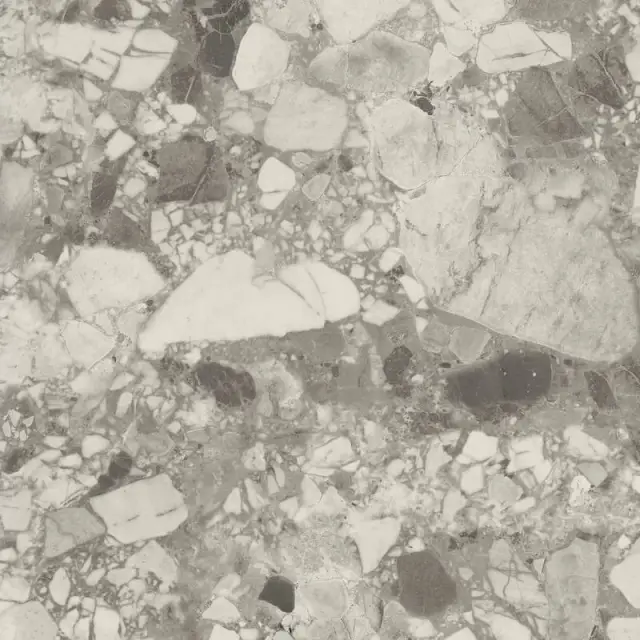 Forte Dei Marmi Ceppo Ap. Pearl Lastra 60x60 20mm