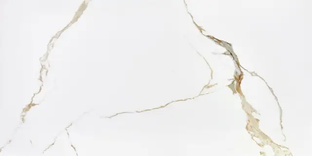 Statuario Gold Fusion 60x120