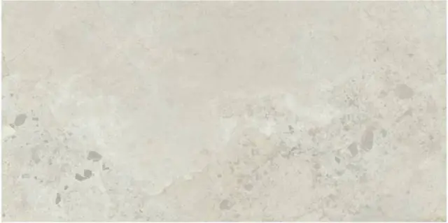 PIETRA VIVA BONE 60X120