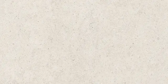 Forum Stone Polar 60x120