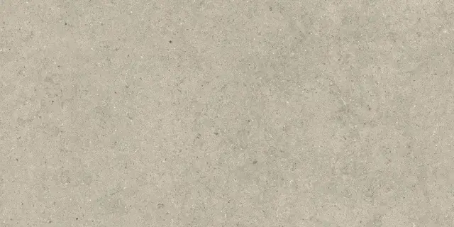 Forum Stone Desert 60x120