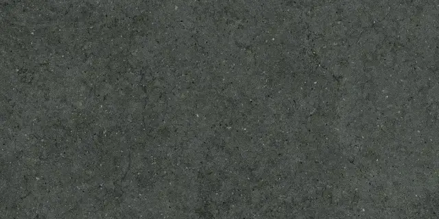 Forum Stone Petrol 60x120