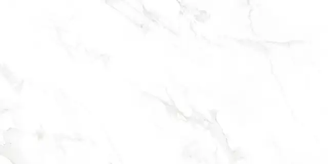 Venus Bianco Polished 60x120