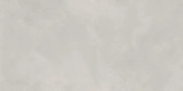 Newport Gris Matt 60x120