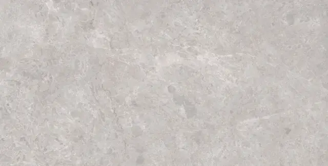 Tokyo Grey Polished 80x160