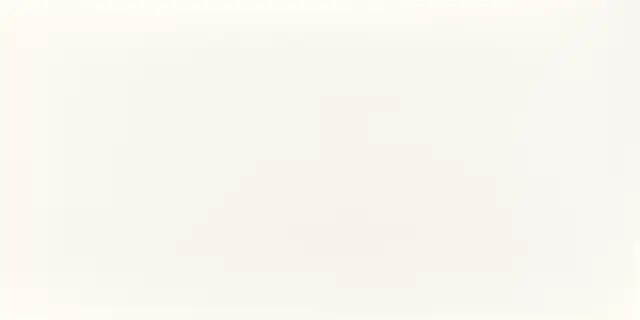 Super White Matt 60x120