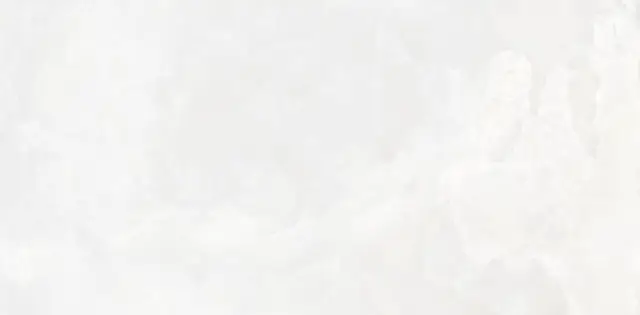 Invictus White Polished 60x120