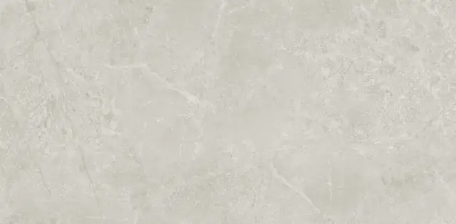 Borneo Grey Matt Carving 60x120