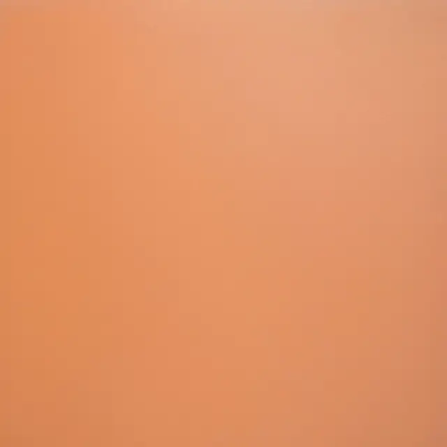 City Терракот 60x60