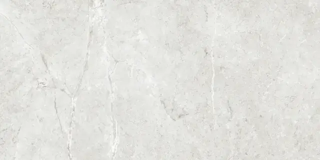 PALERMO GRIS  60X120X9 REC.