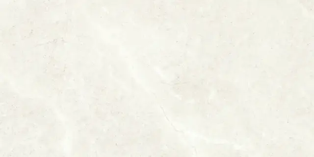 PALERMO BONE 60X120 REC.