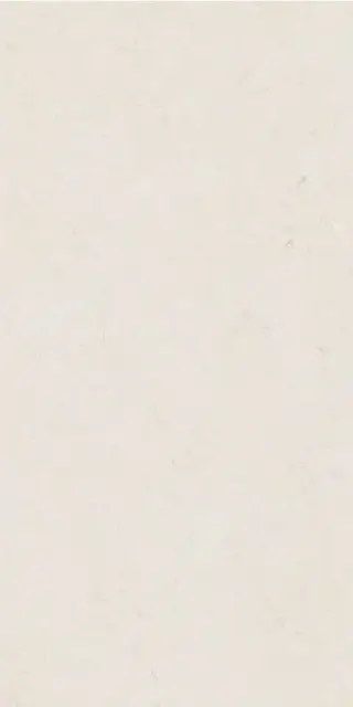 VSTONE WHITE LAP R 60X120 8,5 мм