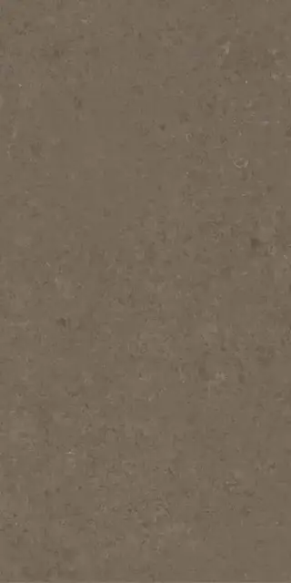 VSTONE BROWN LAP R 60X120 8,5 мм