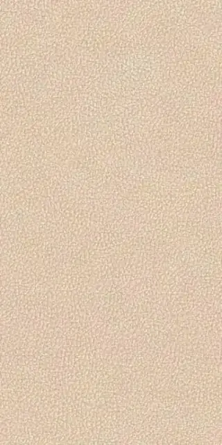 LEATHERWOOD CUIR BEIGE NAT.3D 60X120 8,5 мм