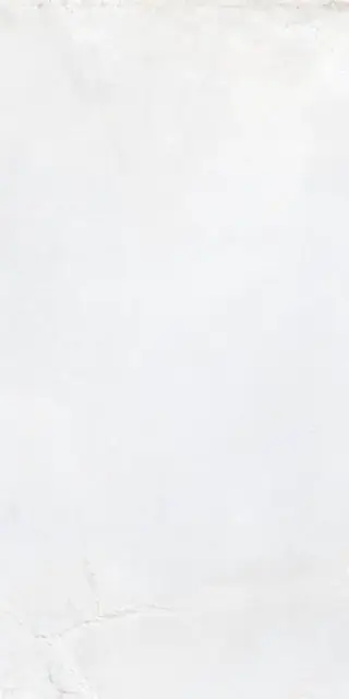 LEGAME WHITE RET 60X120