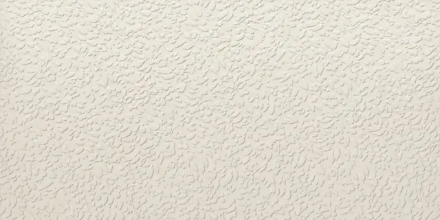 NISUS NEVE RECT 60X120