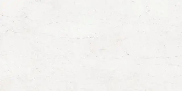 MUSEUM NUMEN WHITE WALL SP 60х120x0.9 M-118