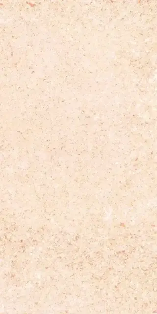 Shunut Beige G302/Шунут бежевый мат 60x120 XX