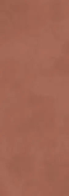 Calce Terracotta 3,5  XX 100x300